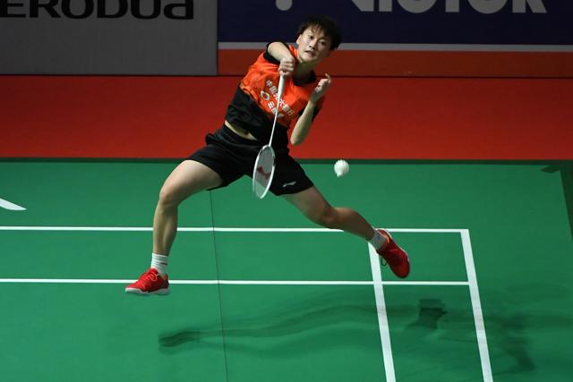 完美诠释了 完美诠释了