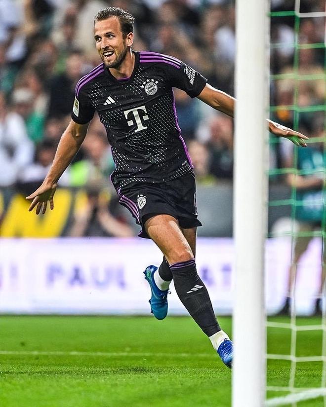 案例是本届 案例是本届